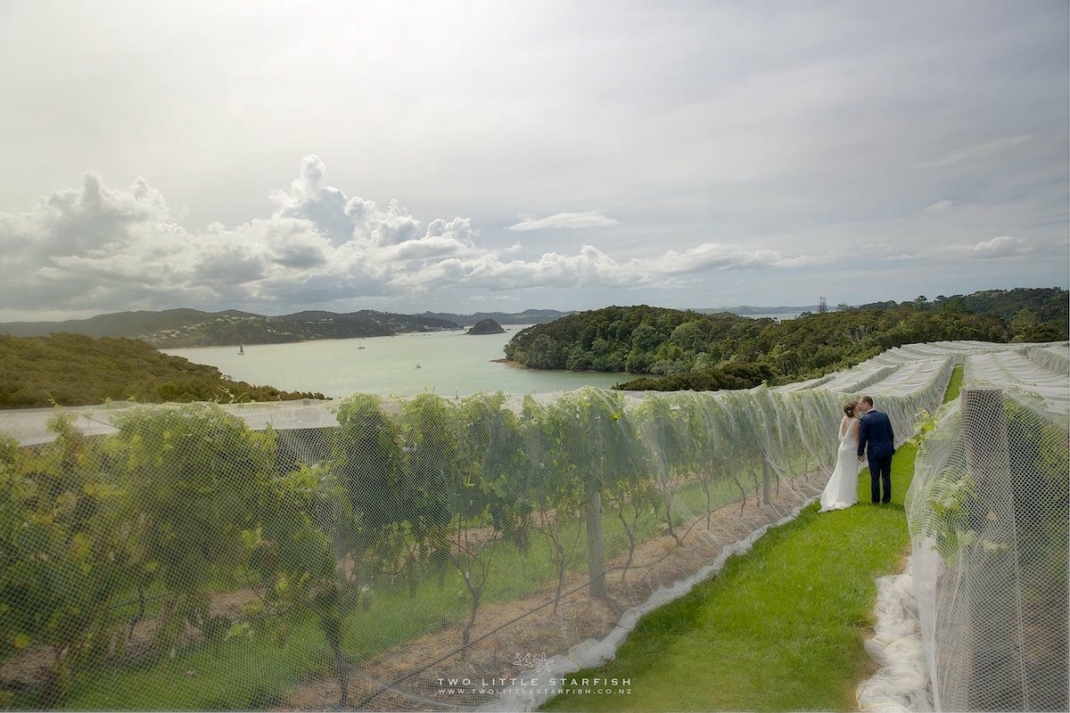 Bride & Groon ibetween the vines at Omata estate Russell NZhair LaurelStratford hairstylist