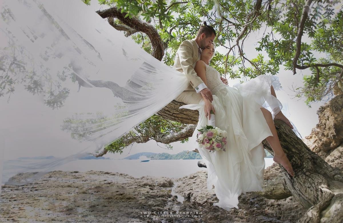 Bride and groom seated in the tree for creative shoot,russell NZS, wedding hair Laurel Stratford