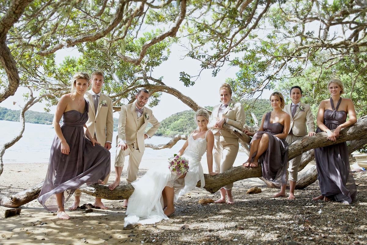 Wedding party sitting in tree,Russell NZ, Wedding hair, Laurel Stratford hairstylist