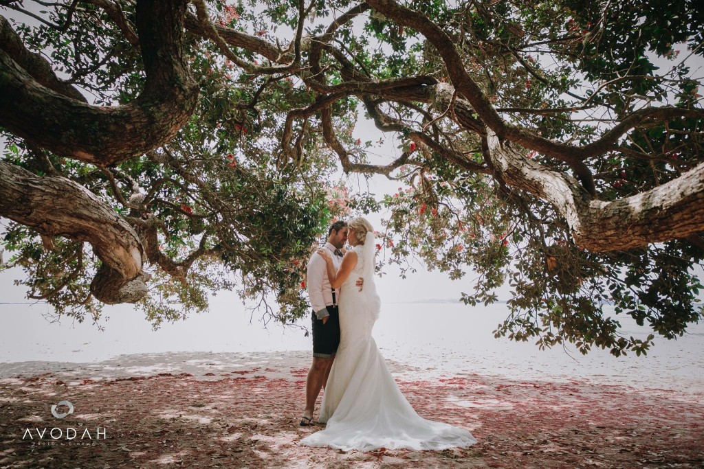 The Bride & Groom 